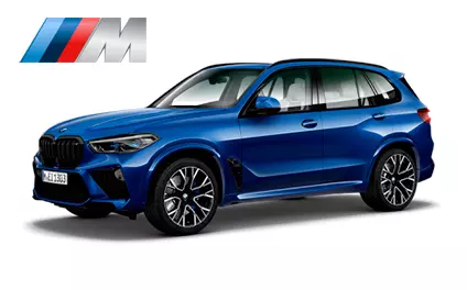 Диагностика BMW X5M F95